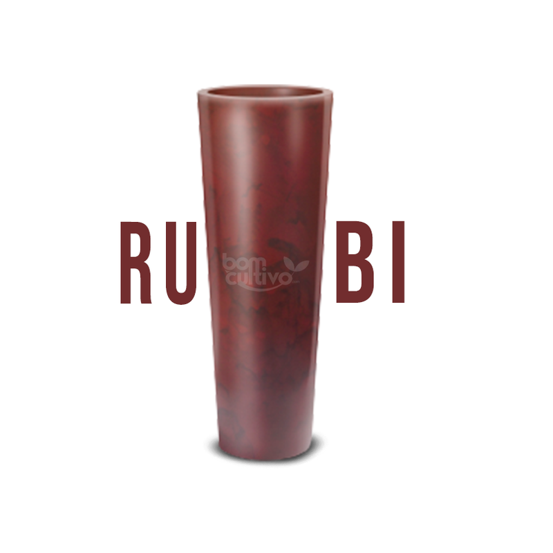 rubi