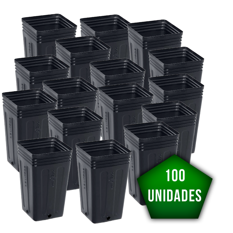 100
