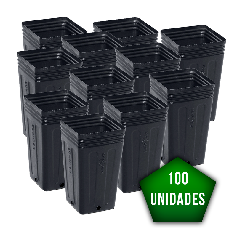 100