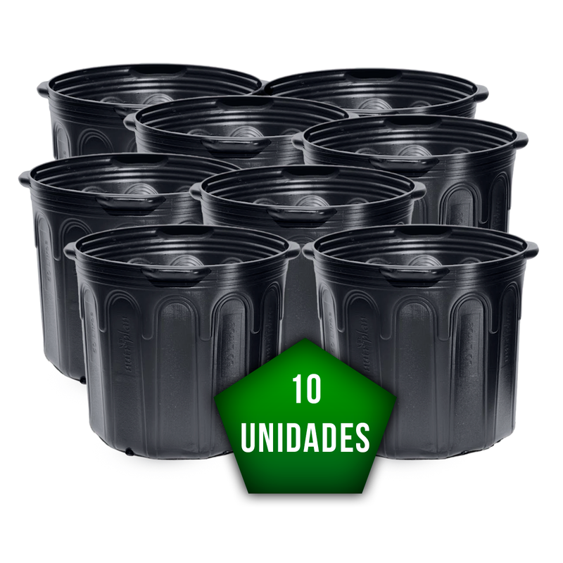 10 unidades