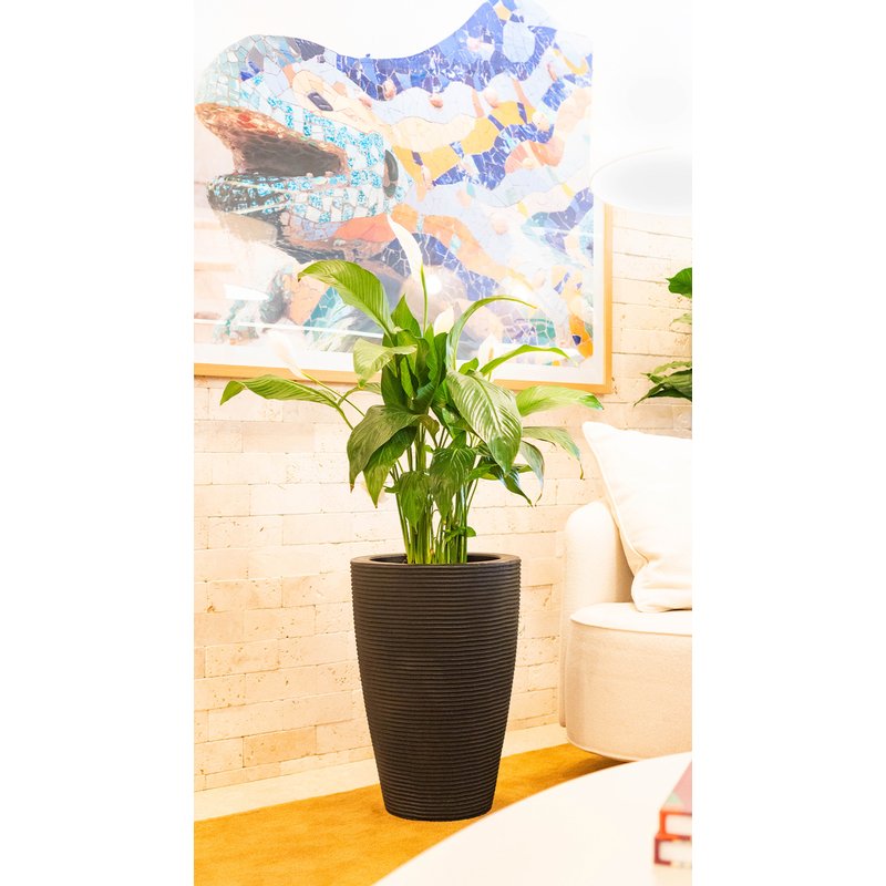 114049 vaso cone riscato 55 preto absoluto 01 9